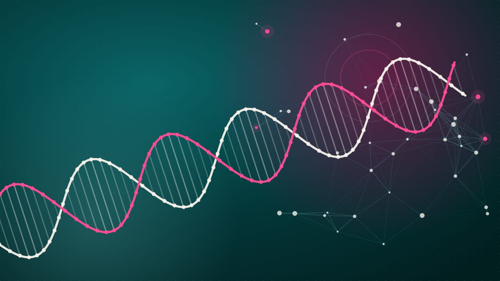 Illustration of a cream and pink DNA double helix rising diagonally across a dark teal background towards a network of connected nodes.