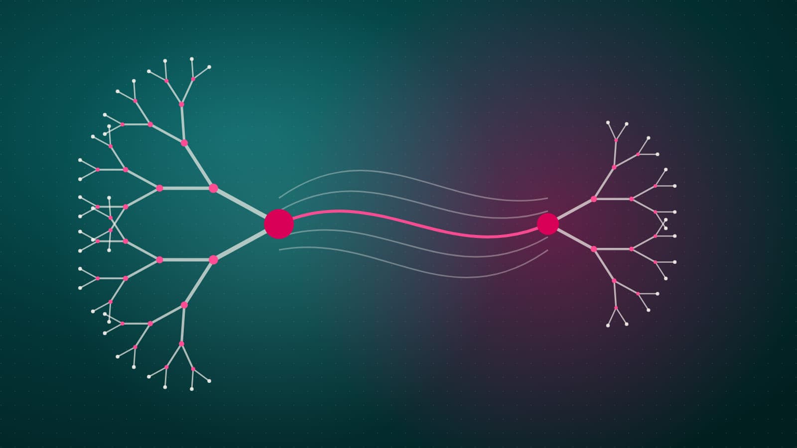 Illustration of two branching tree-like networks, one larger and one smaller, joined by a bridge of flowing pink and cream lines, on dark teal.
